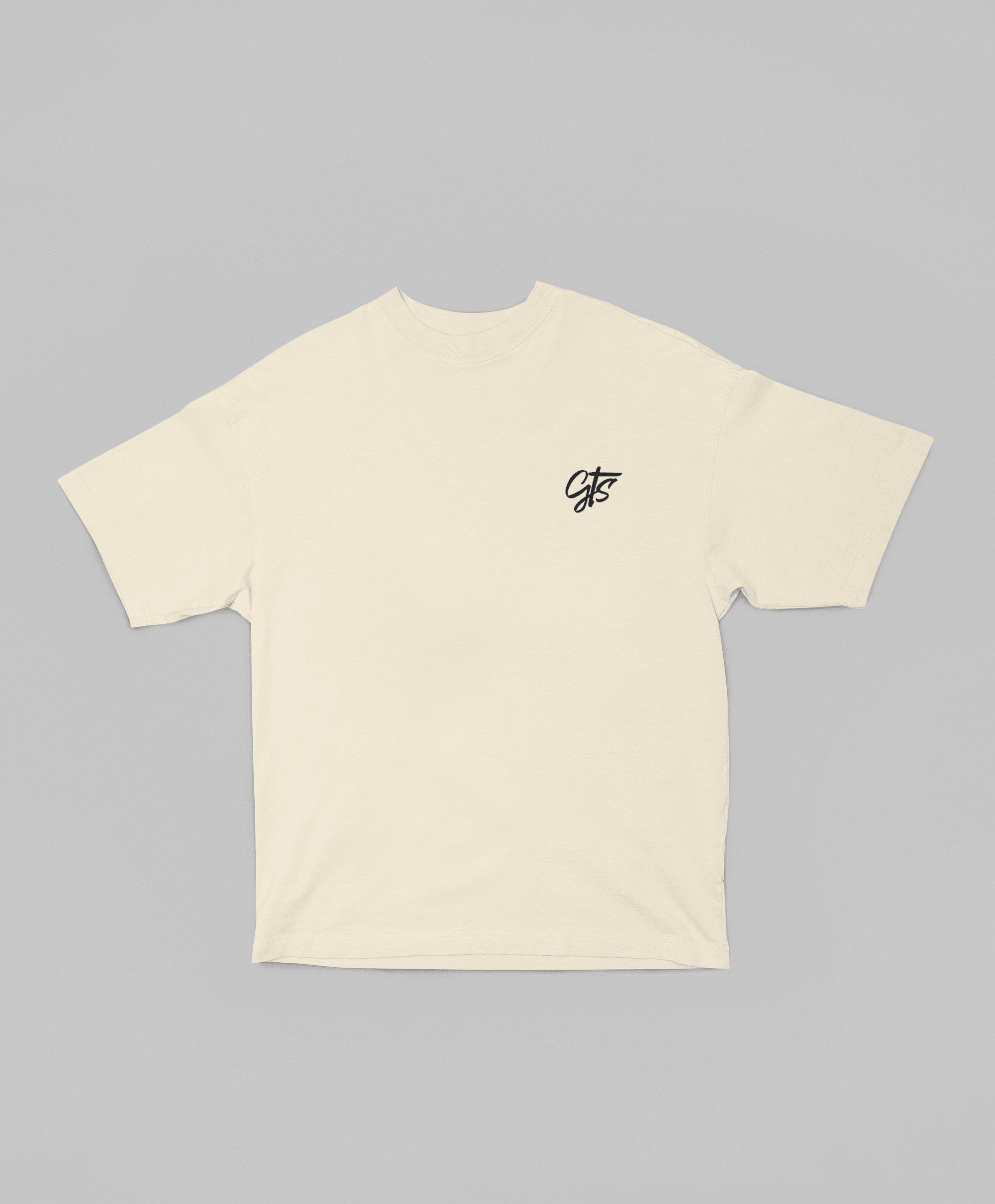 Camiseta Oversized Need Money for Porsche Classic - GTSO30 - Loja GTS Customs