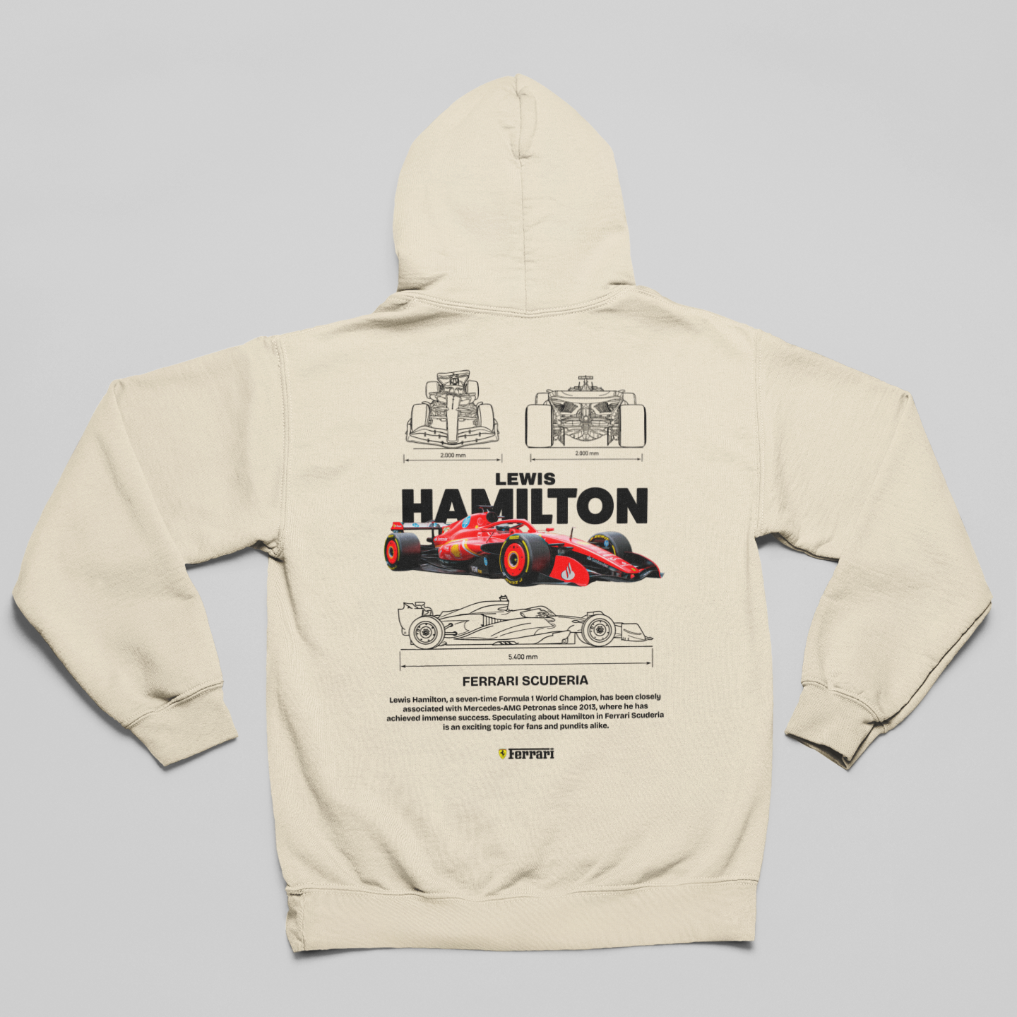 Moletom com Capuz Formula 1 Lewis Hamilton - GTSC13