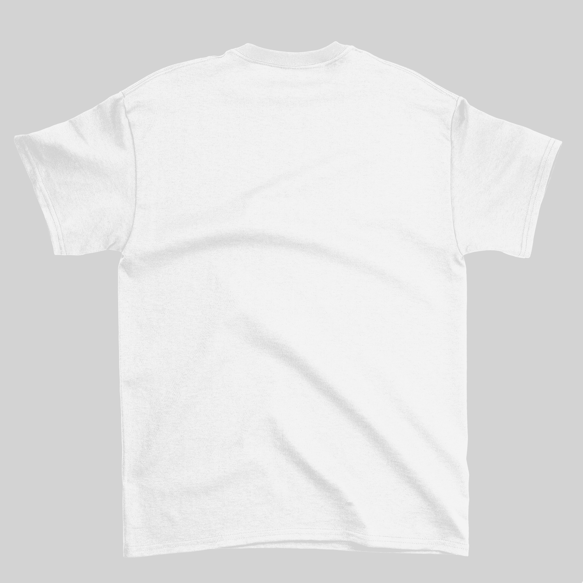 Camiseta em homenagem a Paul Walker - GTS10 - Loja GTS Customs