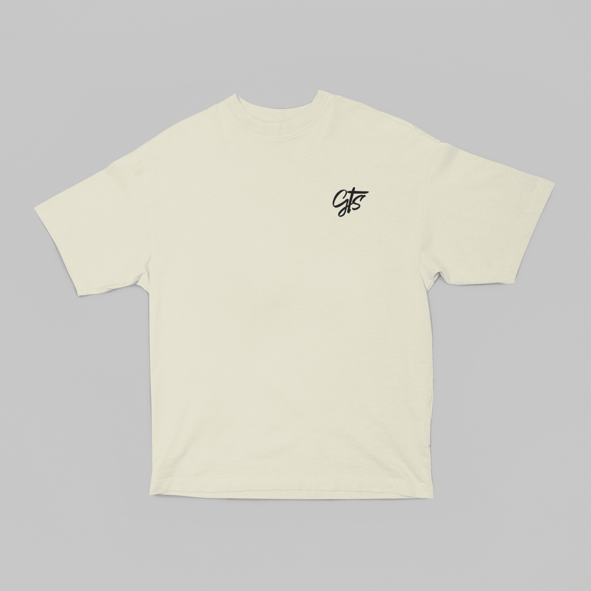 Camiseta Oversized Hakosuka - GTSO10 - Loja GTS Customs