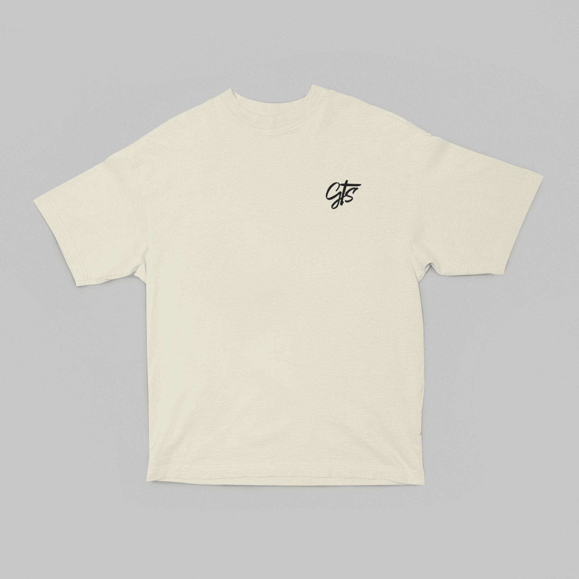 Camiseta Oversized Need Money For Porsche - GTS04 - Loja GTS Customs