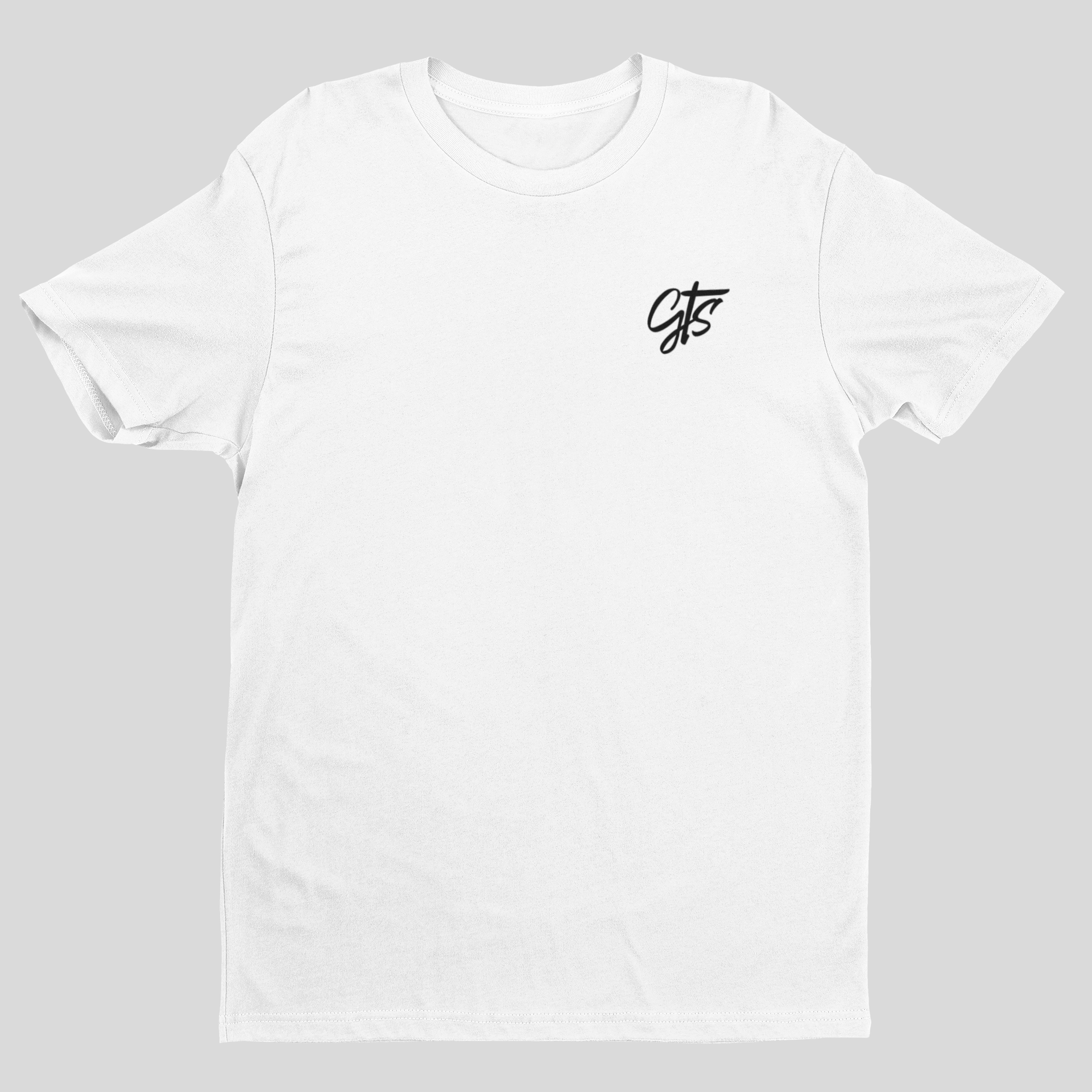 Camiseta Audi TT RS - GTS111
